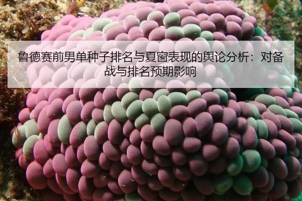 鲁德赛前男单种子排名与夏窗表现的舆论分析：对备战与排名预期影响
